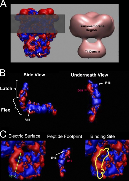 Figure 14.