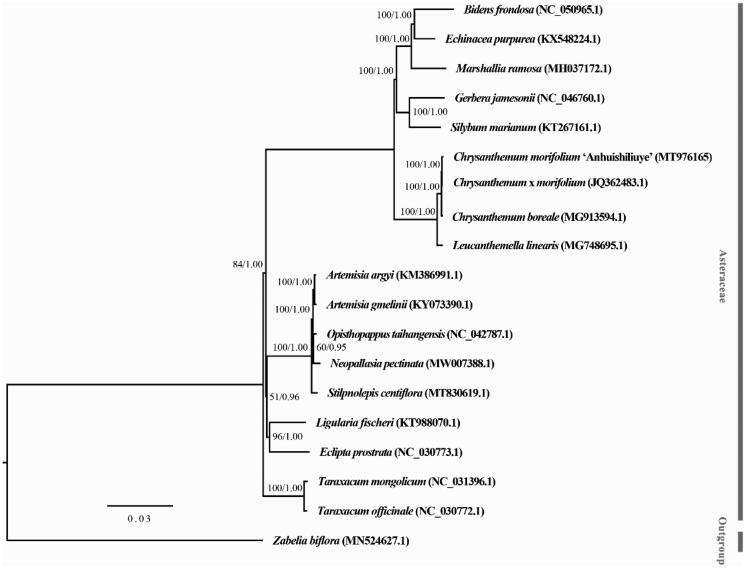 Figure 1.