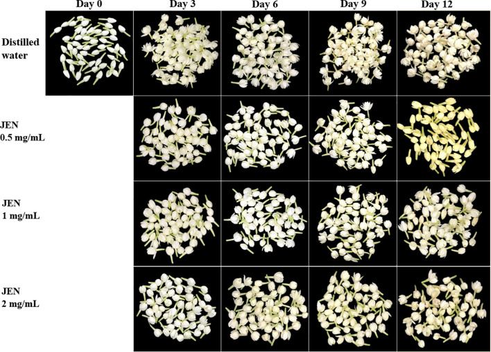 Figure 5