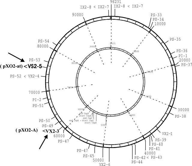 FIG. 1.