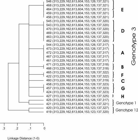 FIG. 3.