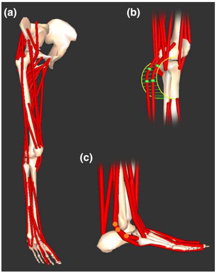 FIGURE 2