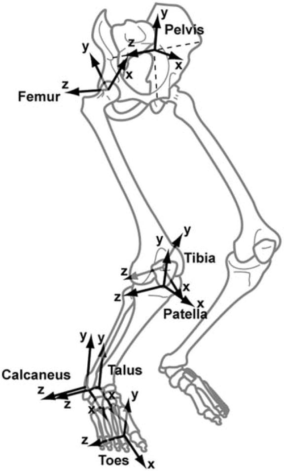 FIGURE 1