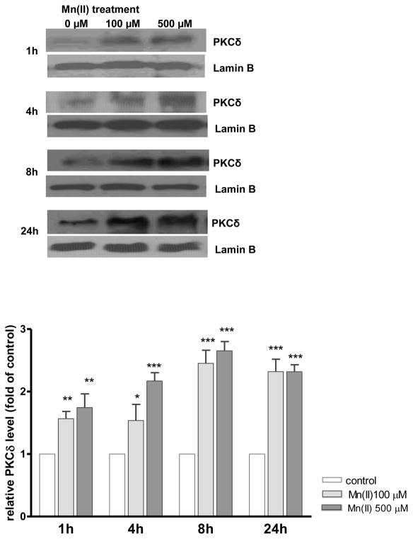 Fig. 6