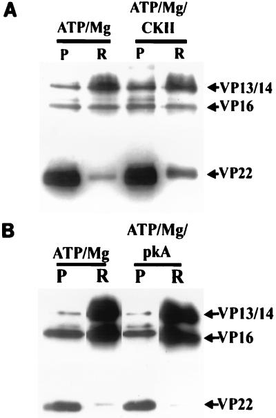 FIG. 7