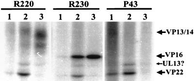 FIG. 10