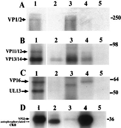 FIG. 8