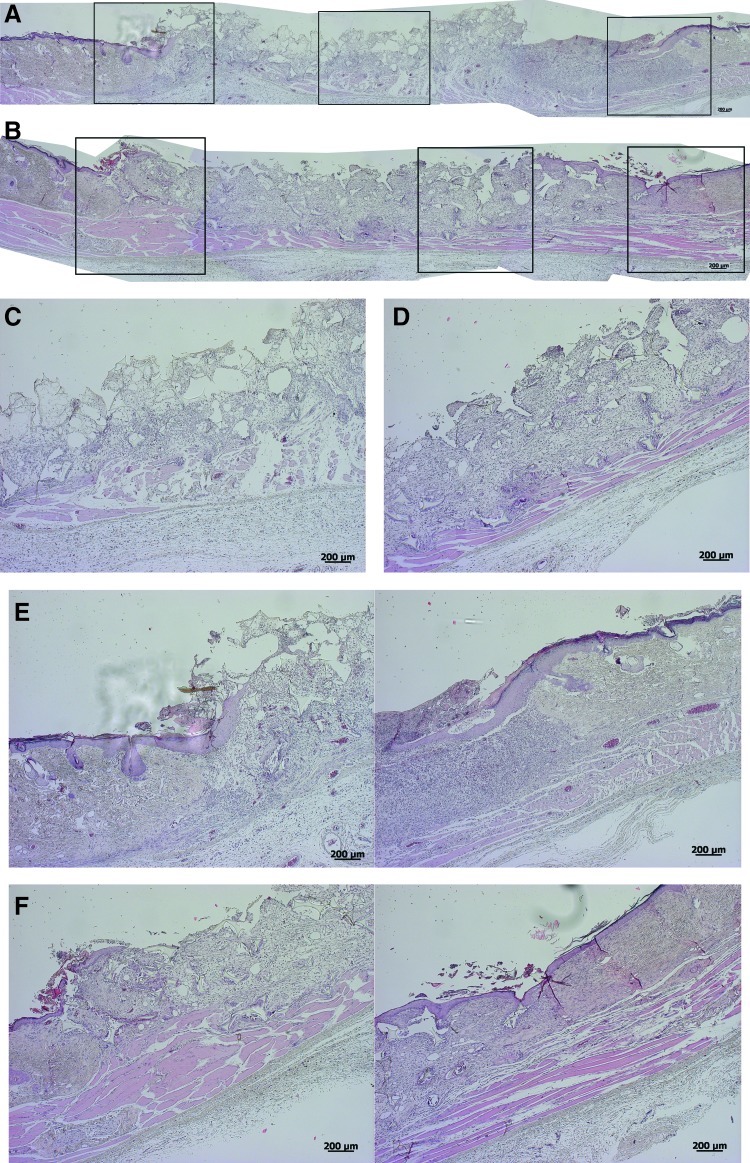 FIG. 5.