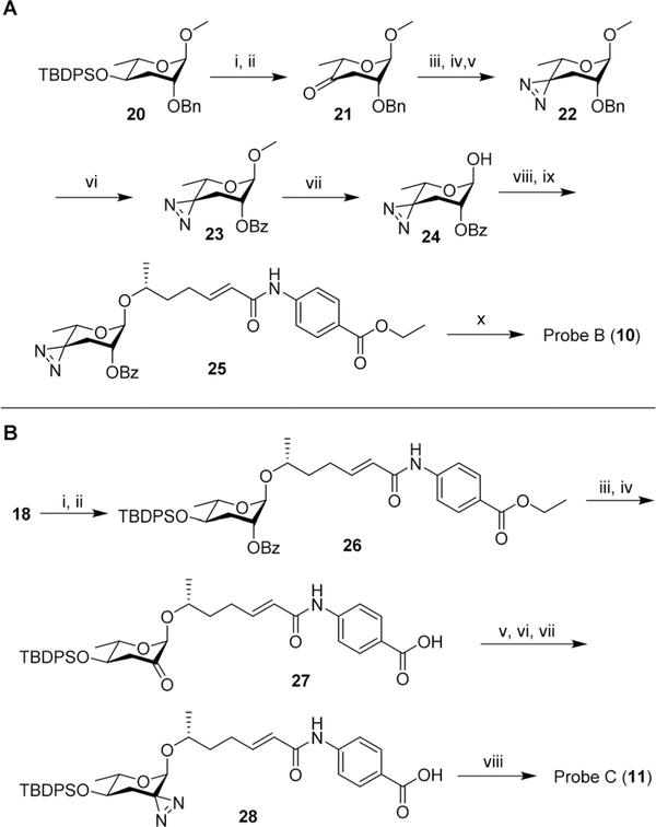 Scheme 2