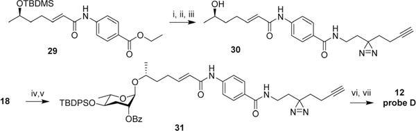 Scheme 3