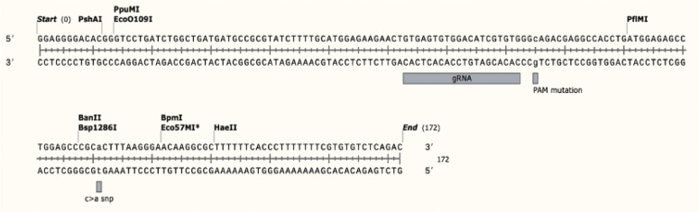 Figure S1.