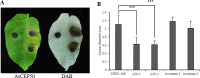 Fig 7