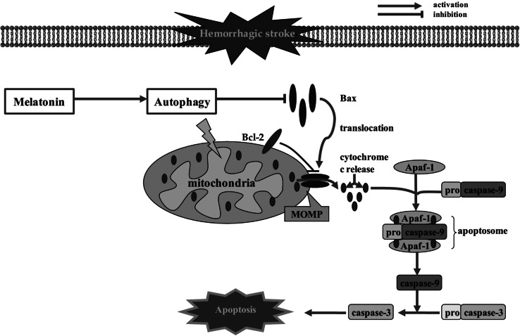 Fig. 3