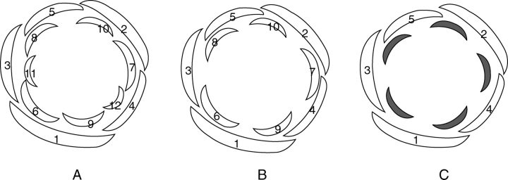 Fig. 3.