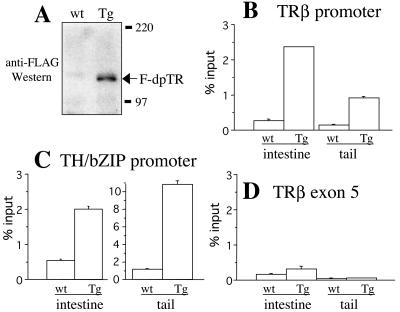 FIG. 8.