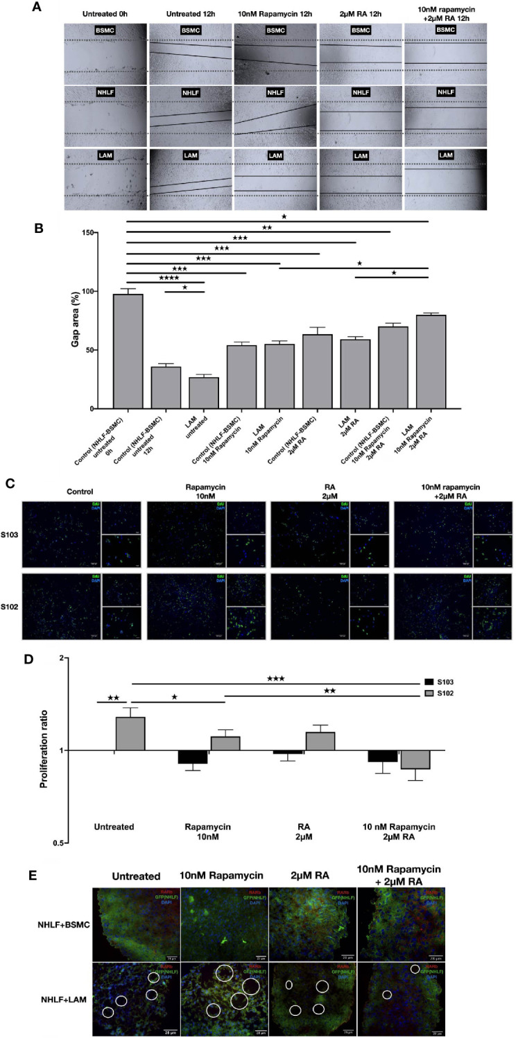 Figure 4