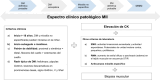 Figura 1