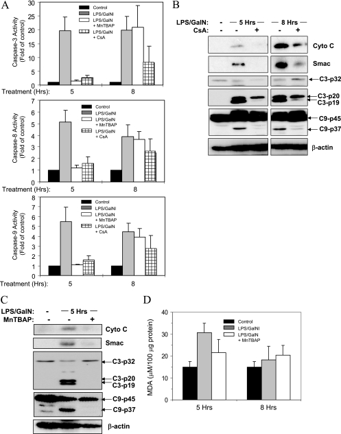 FIG. 7.