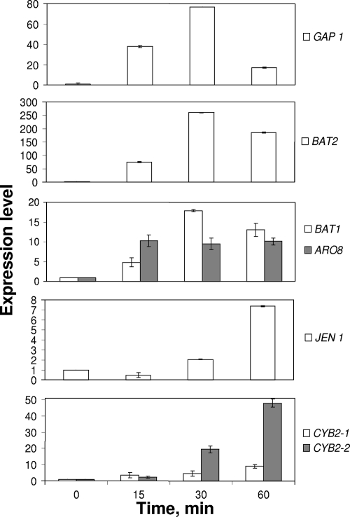 FIG. 4.