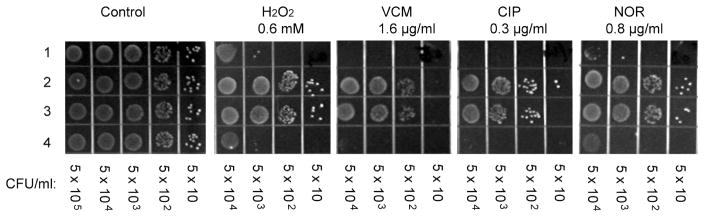 Figure 5