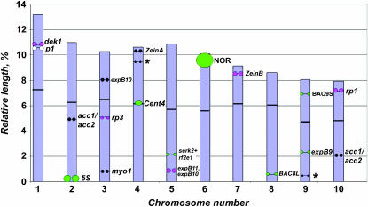 Figure 4.—