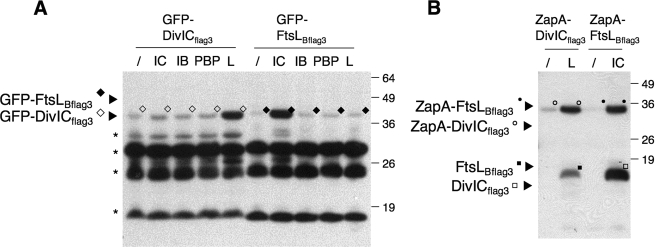 FIG. 6.