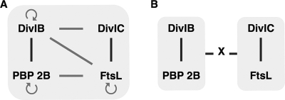 FIG. 7.