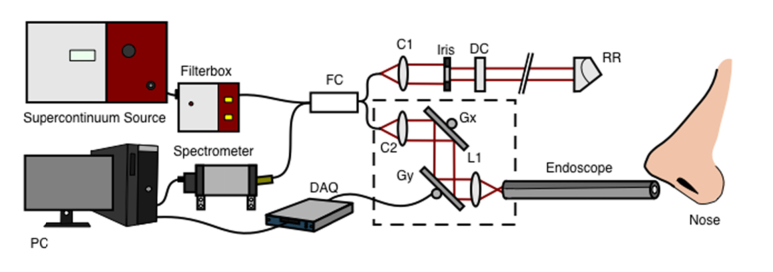 Fig. 2