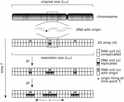 Fig. (3)