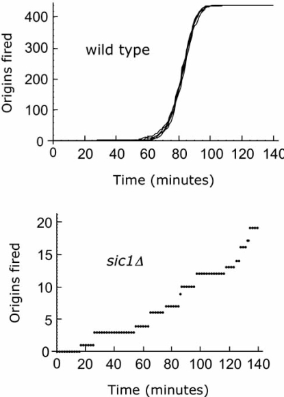 Fig. (5)