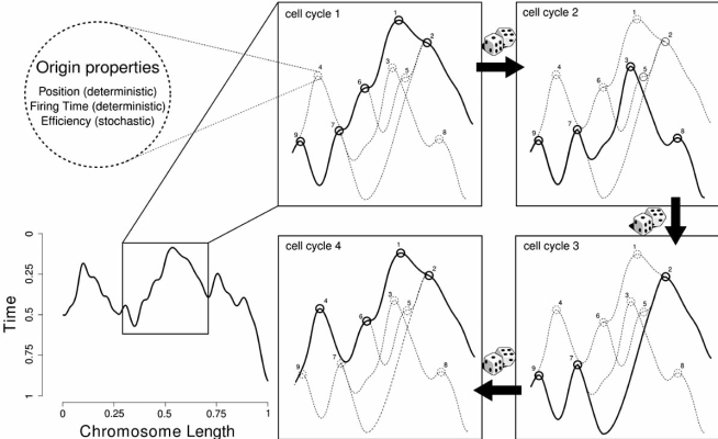 Fig. (2)