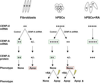 Figure 6.