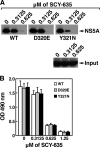 Fig 6