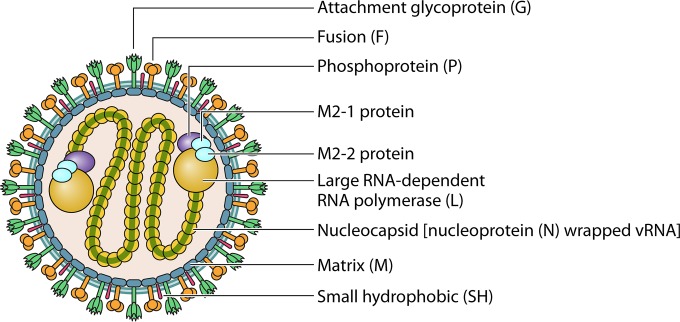 FIG 3