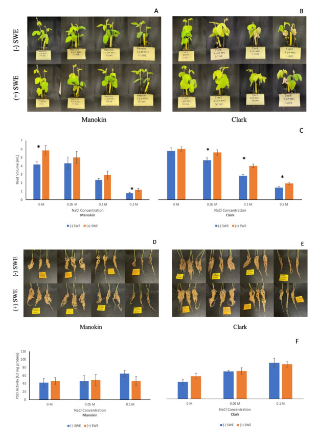 
Figure 1.
Salt stress impacts on root volume are alleviated by treatment with biostimulant seaweed extract (SWE), and increased peroxidase activity is observed in salt tolerant soybeans at 0.1 M NaCl (-SWE):
A-B)
