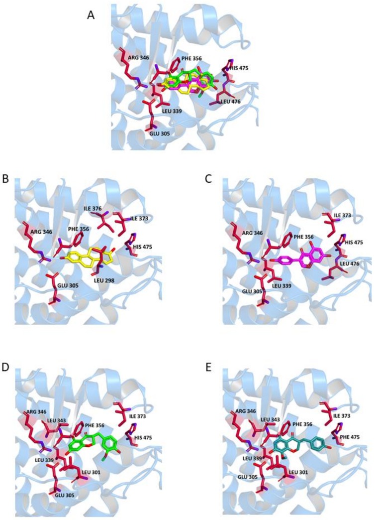 Figure 6