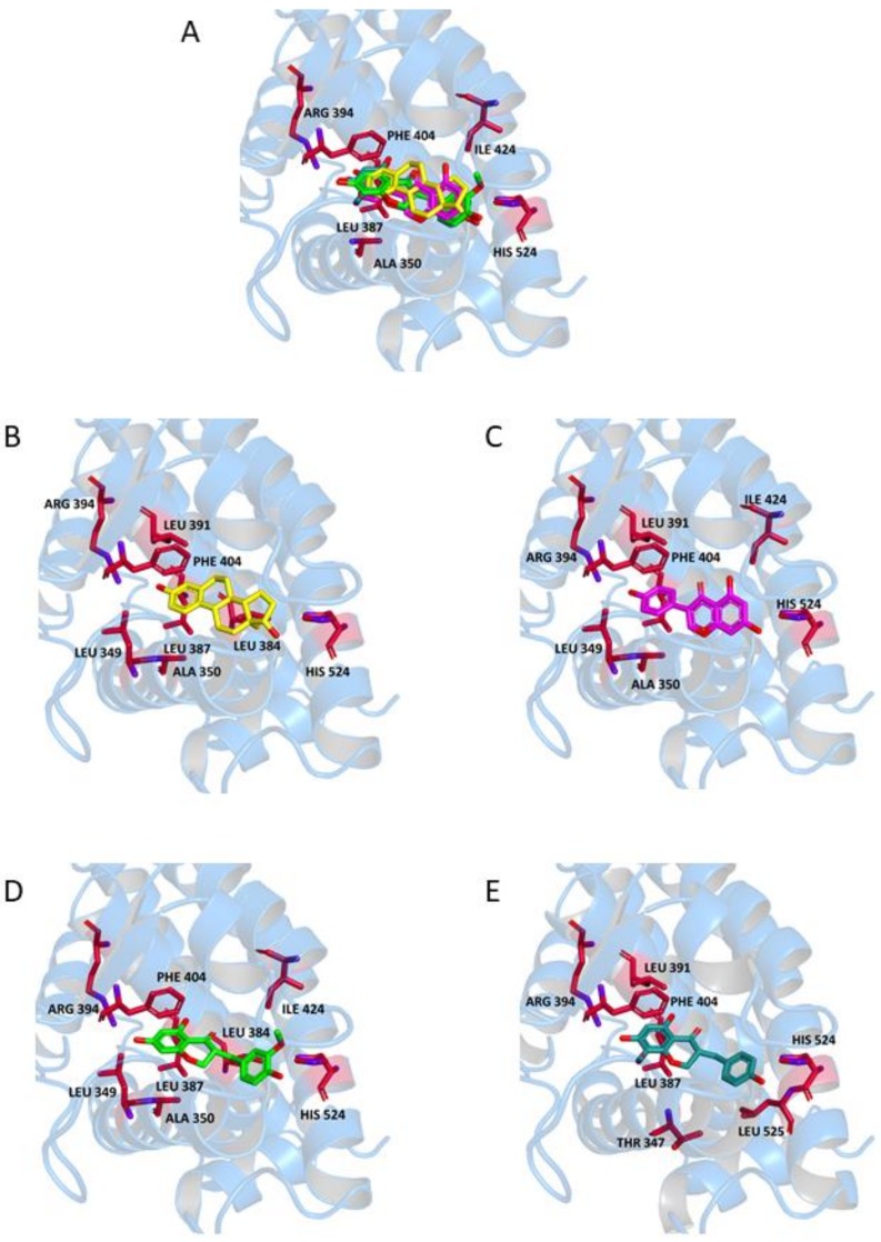 Figure 5