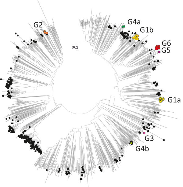 Figure 4