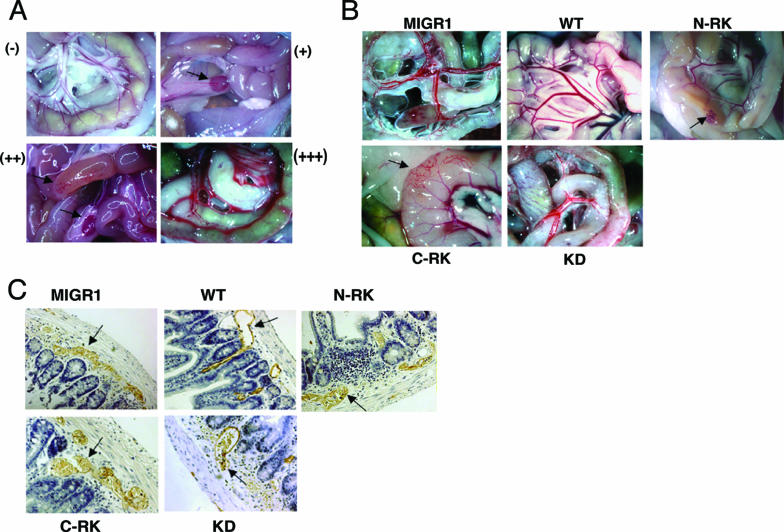 FIG. 6.