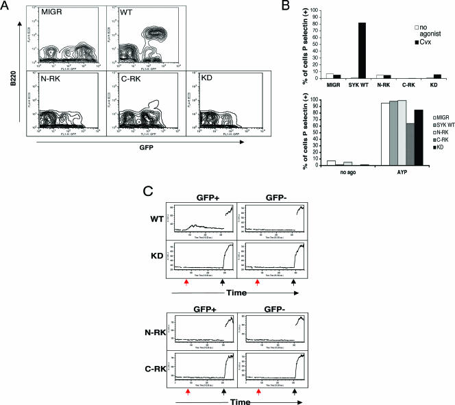 FIG. 2.