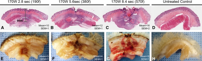 Fig. 6A–H