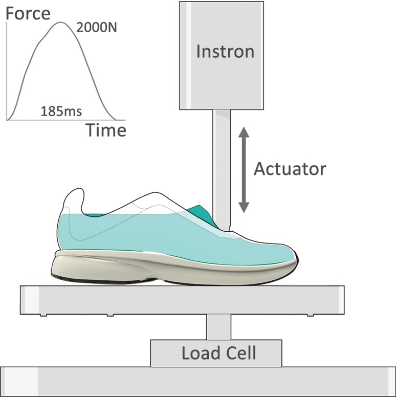 Fig. 2