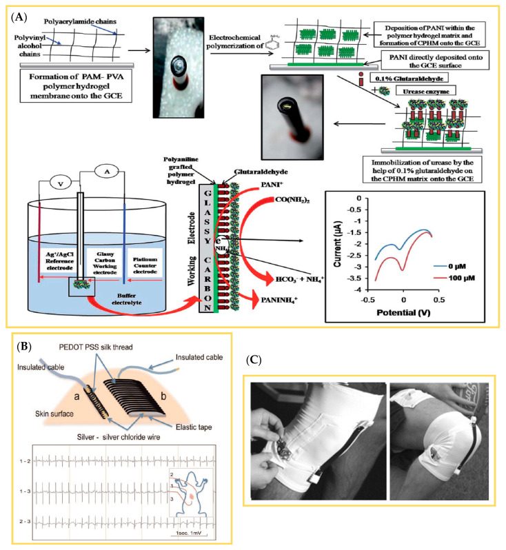 Figure 24