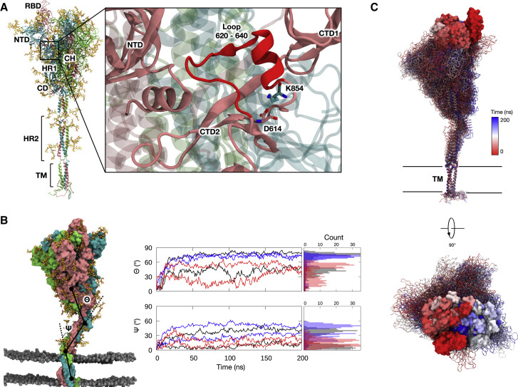 Figure 1