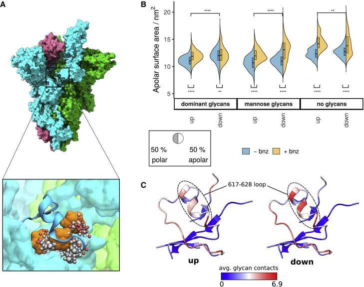 Figure 6