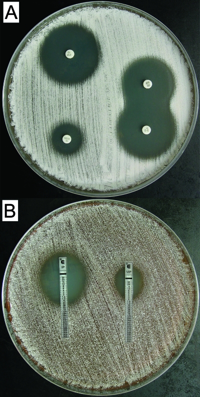 FIG. 5.