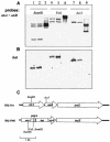 FIG. 2.