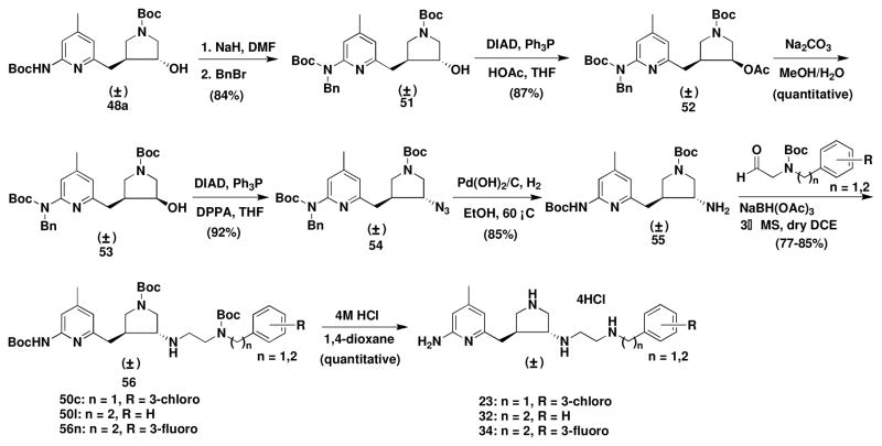 Scheme 3