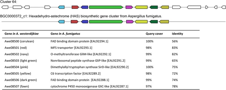 Fig. 7