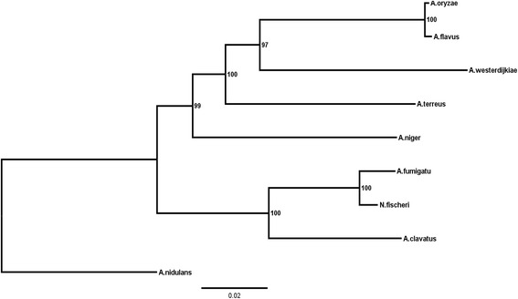 Fig. 2